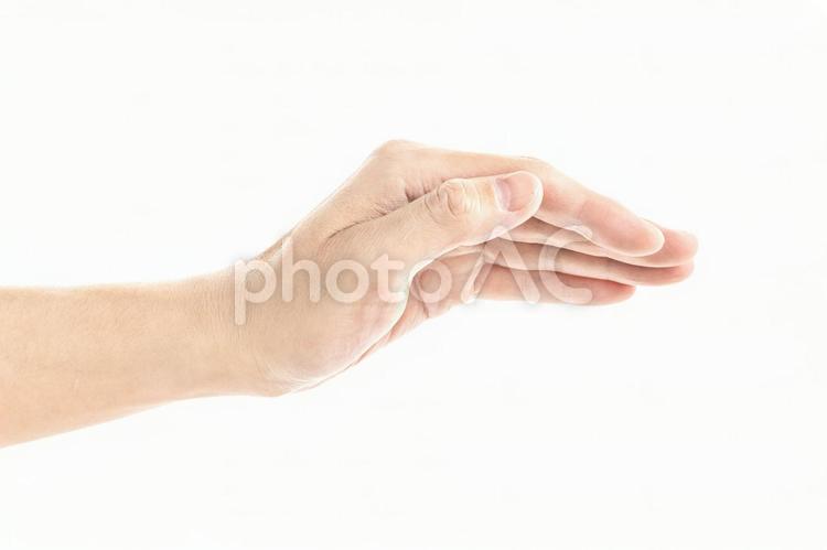 白背景かざす手のイメージ 指,手,手のひらの写真素材