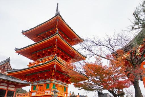 京都清水寺の三重塔ともみじ 京都清水寺の三重塔ともみじの写真