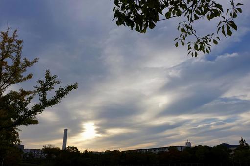 秋の朝空~薄曇り~63 秋の朝空~薄曇り~63 朝日,日の出,夜明けの写真素材