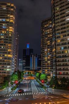 都市夜景 都市夜景 都市夜景,夜景,夜の写真素材