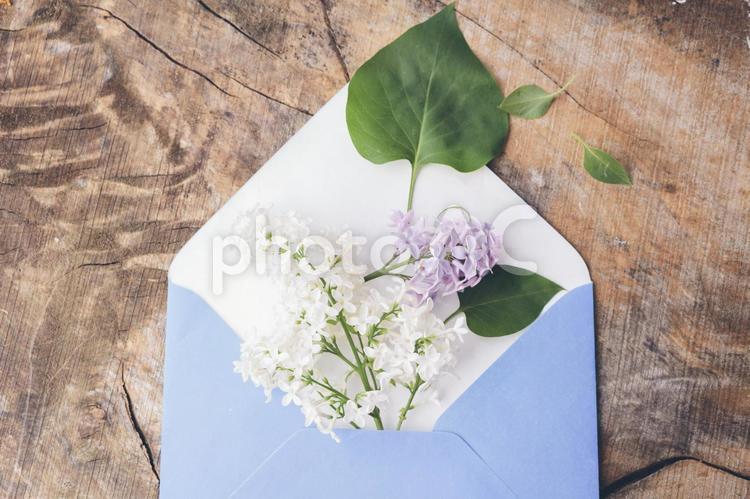 花と木と雑貨15 植物,花,花びらの写真素材
