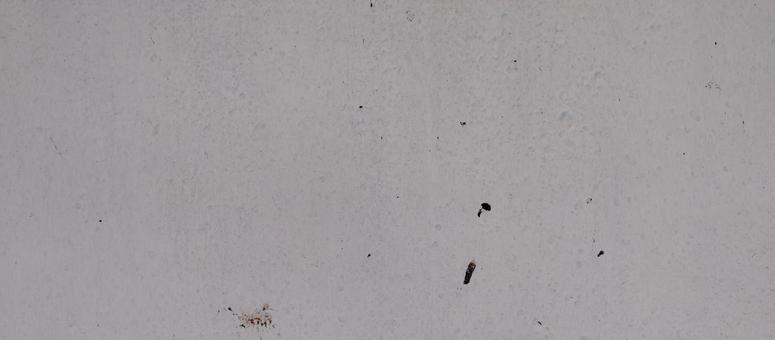 Photo, wall, texture, white, 