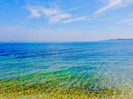 琵琶湖 琵琶湖の写真