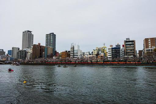 都市景観 都市景観の写真