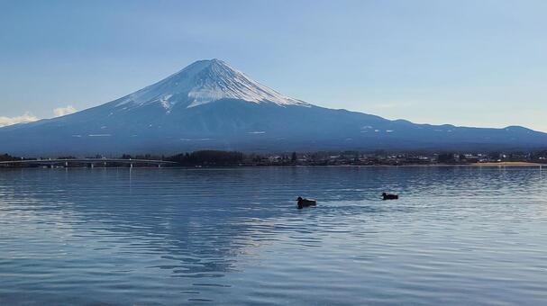 日本のシンボル 富士山,河口湖,湖の写真素材