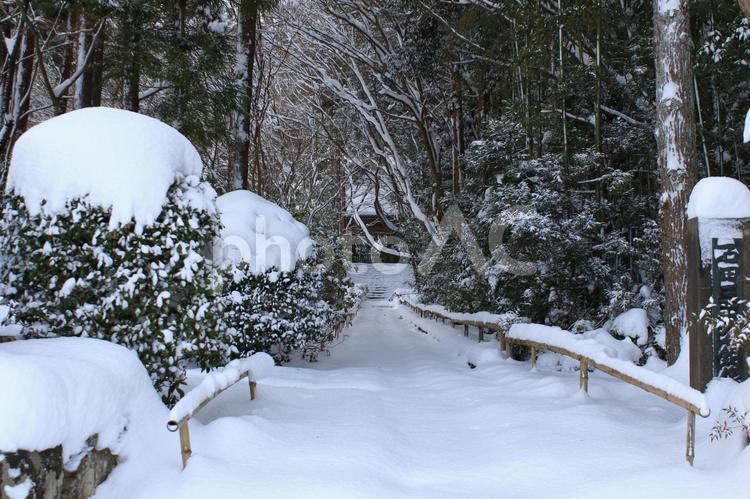 滋賀県彦根市にある龍潭寺の山門と雪景色です 雪,滋賀県,彦根市の写真素材