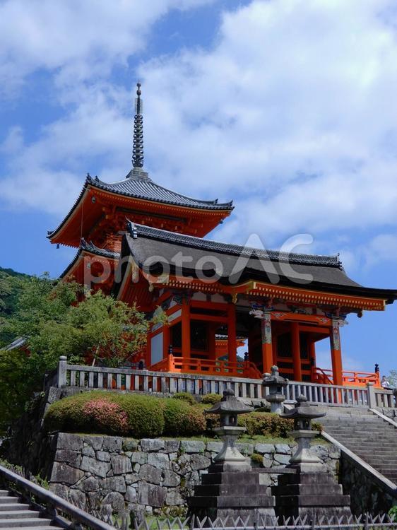 清水寺　西門　三重塔 清水寺,西門,三重塔の写真素材