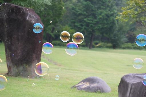 シャボン玉 シャボン玉の写真