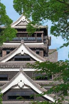 熊本城 熊本城の写真