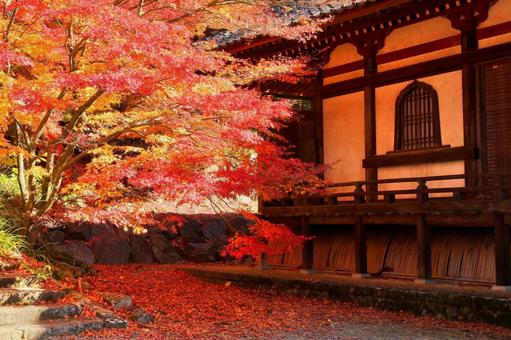 紅葉　長野県　清水寺 紅葉,長野県,清水寺の写真素材