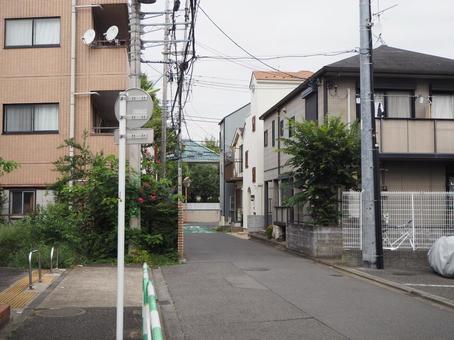 祖師ヶ谷の街並み(東京都・世田谷区) 祖師ヶ谷の街並み(東京都・世田谷区) 祖師ヶ谷通り,祖師ヶ谷,街並みの写真素材