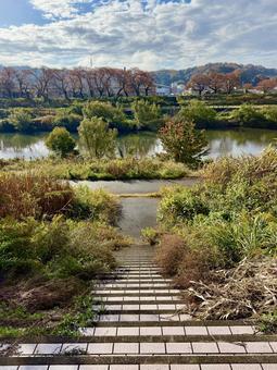 11月末の昼間　晩秋の福井県の足羽川 11月末,晩秋,景色の写真素材