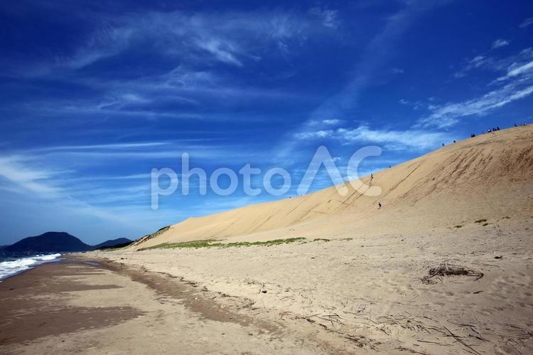 砂丘 砂丘,鳥取砂丘,砂浜の写真素材