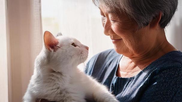 猫と高齢者3 猫と高齢者3の写真