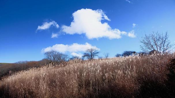 秋の八島湿原 高原,草原,湿原の写真素材