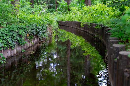 公園の小川のせせらぎ 公園の小川のせせらぎの写真