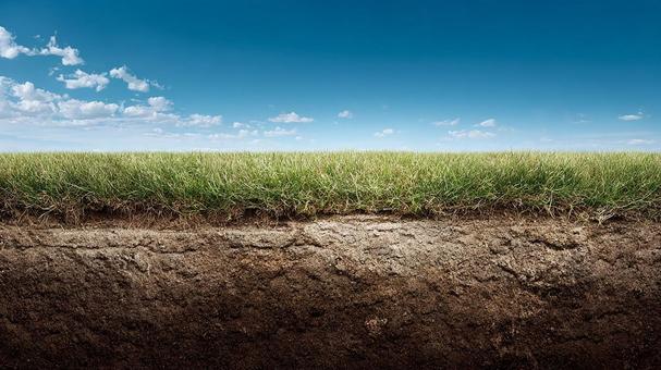青空の下の土壌断面と緑の芝生の写真