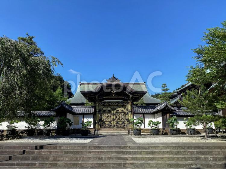 7月の建長寺　蓮と唐門 鎌倉,建長寺,北鎌倉の写真素材