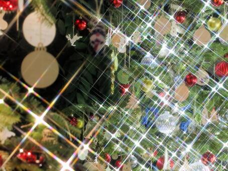 はままつフラワーパーク　イルミネーション イルミネーション,クリスマス,夜景の写真素材