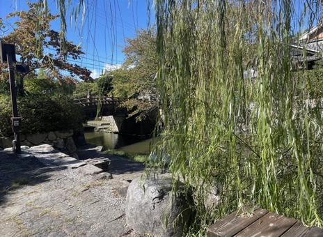 風景 自然,風景,景色の写真素材
