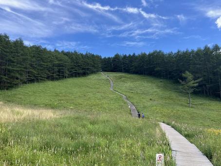 入笠山の入笠湿原風景 入笠山の入笠湿原風景 入笠湿原,入笠山,湿原の写真素材