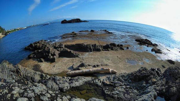 東尋坊 東尋坊 東尋坊,海,海岸の写真素材