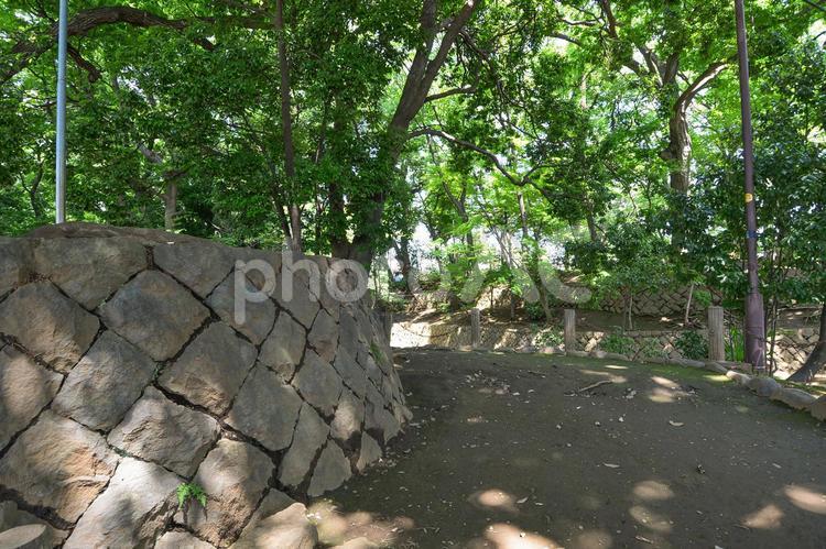 世田谷城阯公園の石垣 世田谷城阯公園,公園,自然の写真素材