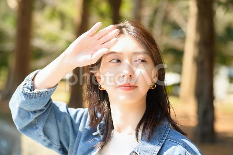 公園で日差しを浴びる女性 女性,外出,新緑の写真素材