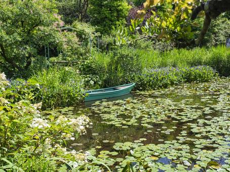 Water lilies and a small boat in a green pond, JPG