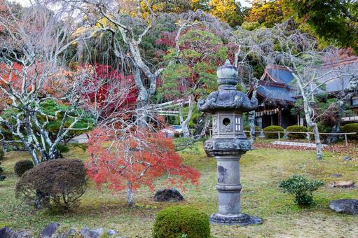 塩釜神社の秋景色⒀ 秋,紅葉,モミジの写真素材