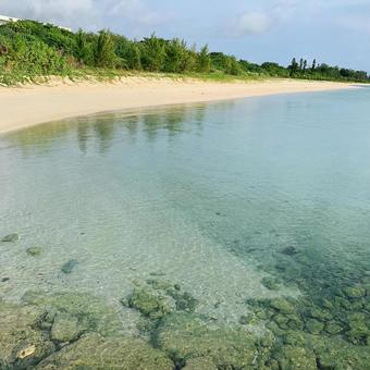 沖縄の海 沖縄の海 沖縄,海,浜辺の写真素材
