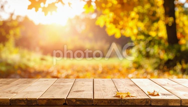 秋のイメージの背景画像　紅葉　野原 秋,葉,風景の写真素材