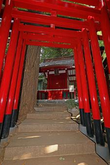 乃木神社(港) 乃木神社(港) 乃木神社,乃木希典命,乃木静子命の写真素材
