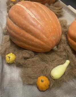 大きなカボチャ ハロウィン 大きなカボチャ ハロウィン 果実,カボチャ,大きなカボチャの写真素材