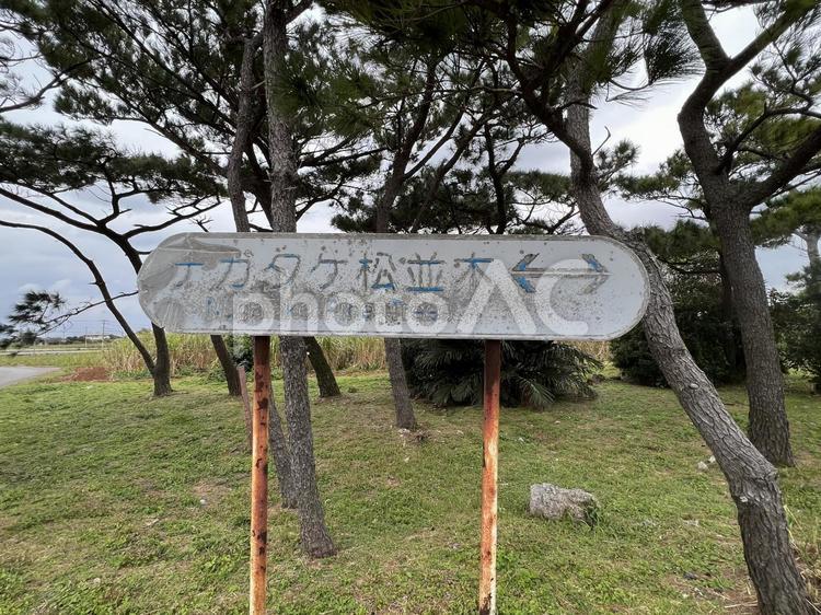 沖縄久米島ナガタケ松並木の看板 沖縄,久米島,ナガタケ松並木の写真素材