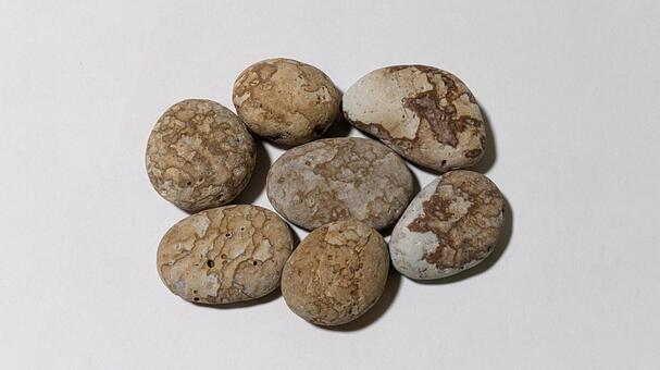 姫川薬石 姫川薬石,石,薬石の写真素材