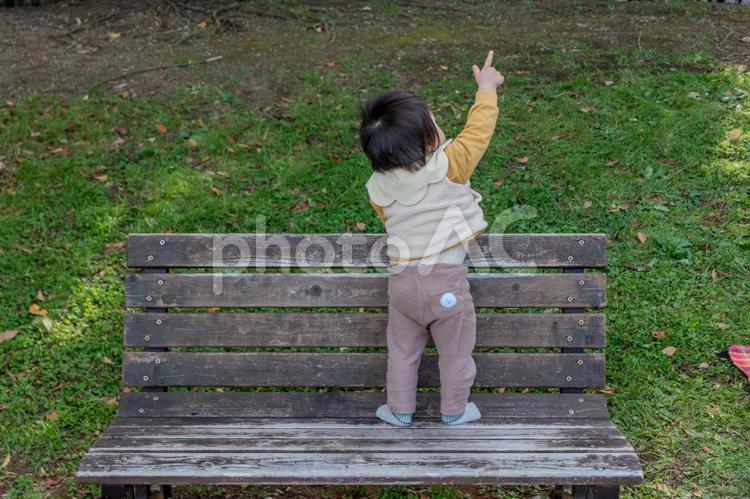 公園のベンチで指をさす幼児 公園,子供,屋外の写真素材