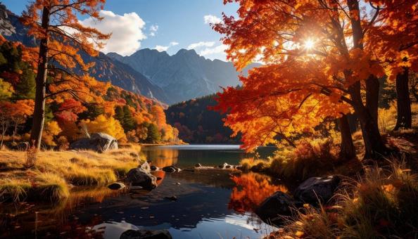 秋のイメージの風景写真 秋のイメージの風景写真の写真