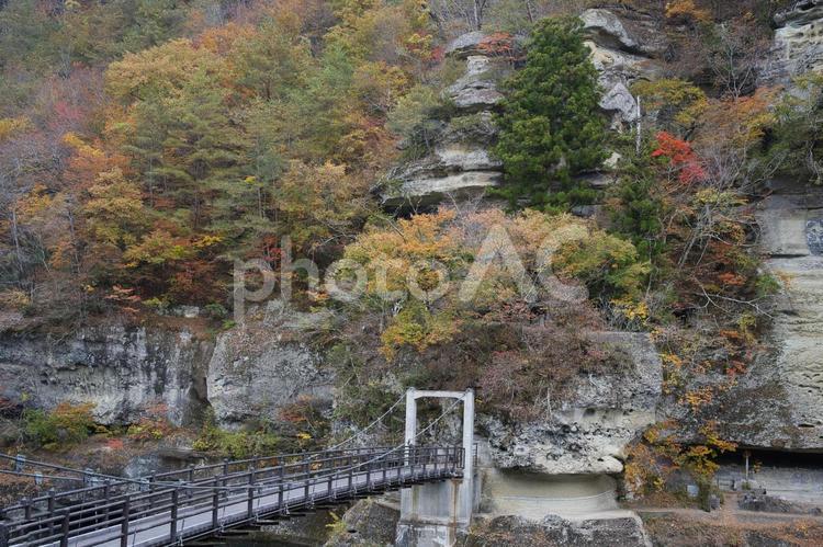 塔のへつりへの渡橋 塔のへつり,秋,紅葉の写真素材
