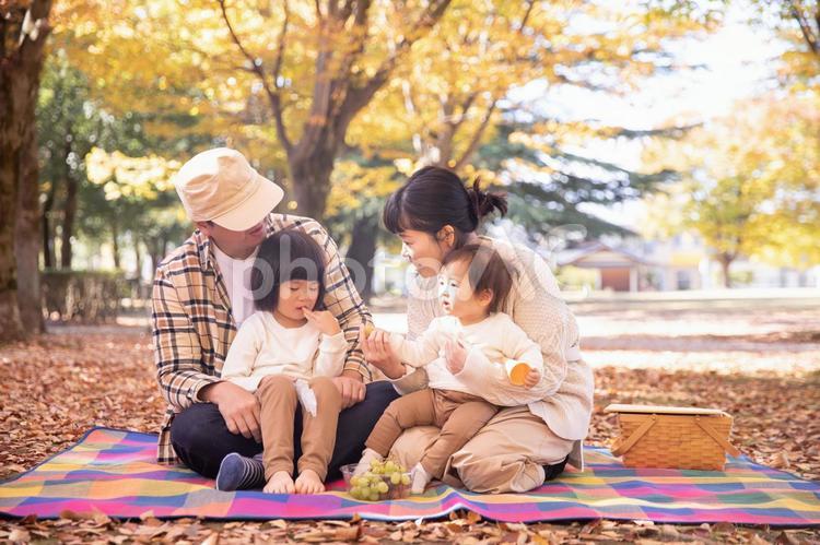秋の公園でピクニックする家族・ファミリー 家族,公園,ファミリーの写真素材
