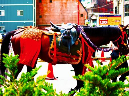 飾り馬が歩く街角 飾り馬が歩く街角の写真