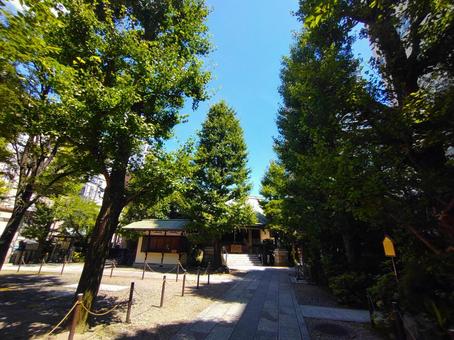 写真素材:東京都 榊神社の境内 写真素材:東京都 榊神社の境内 榊神社,總本宮第六天,東京都の写真素材