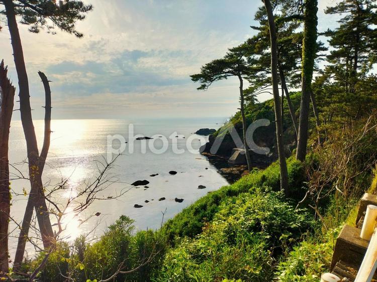 東尋坊から見る景色（夕方）7 美しい,東尋坊,壁の写真素材