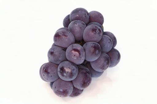 ピオーネ 植物,果物,ぶどうの写真素材