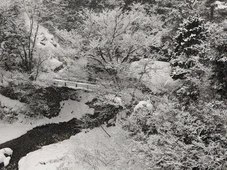 雪景色 雪景色の写真