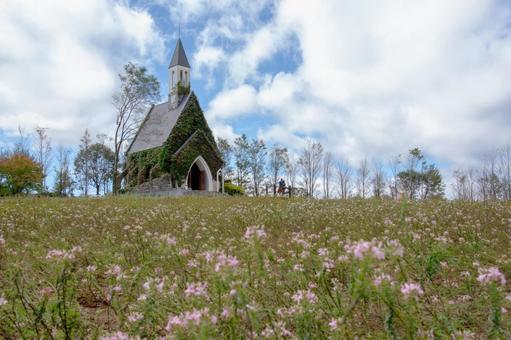 教会のある風景 教会のある風景 牧歌の里,教会,花のある風景の写真素材