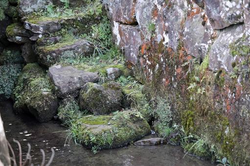 昔は使っていただろう生活のための石段 昔は使っていただろう生活のための石段の写真