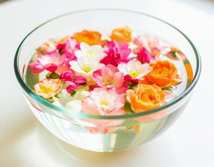 水に浮かぶ花 水に浮かぶ花の写真