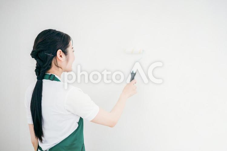 壁の塗装をするエプロン姿の日本人女性 塗装,ペンキ,内装の写真素材