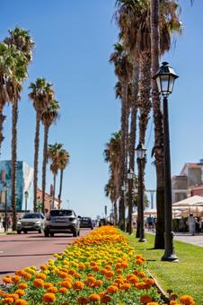 カスカイスの車道 ポルトガル,カスカイス,リスボン郊外の写真素材